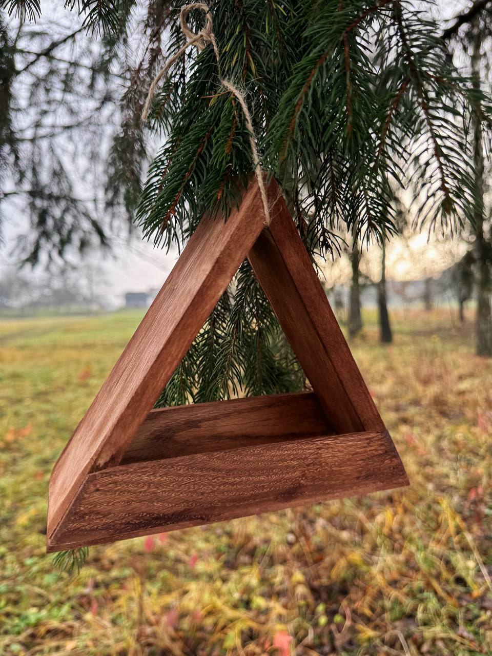 Детальне фото текстури дубової годівнички