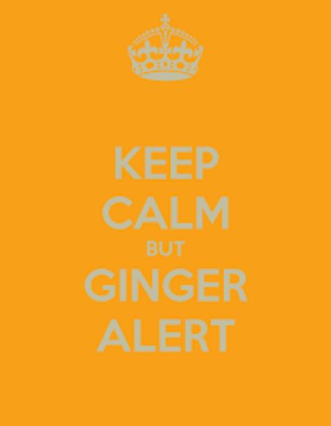 2021年6月1日:问题…等待…恐慌…黄色警报|星际飞船地球