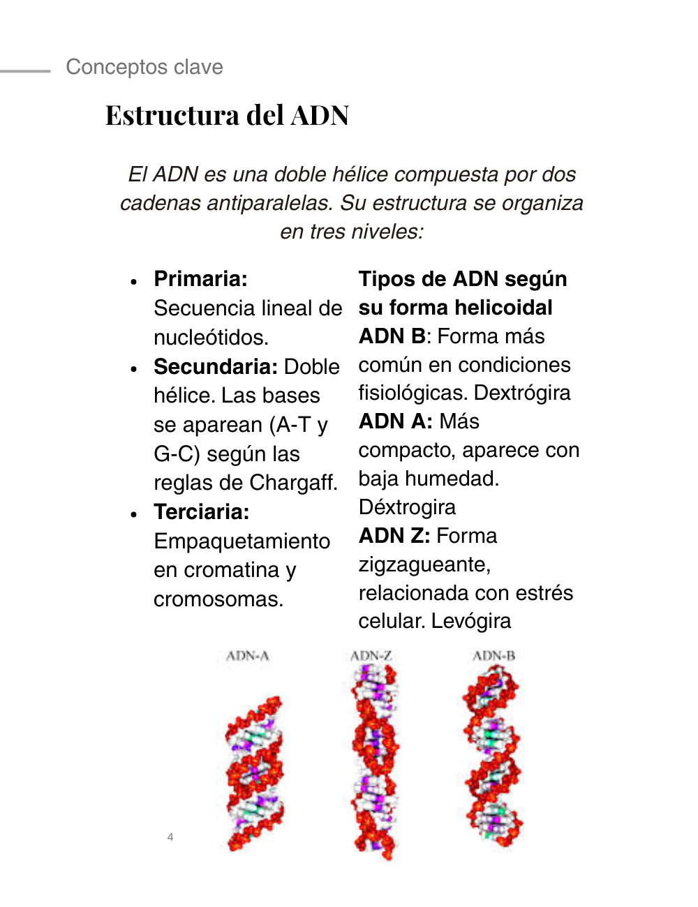 Contraportada