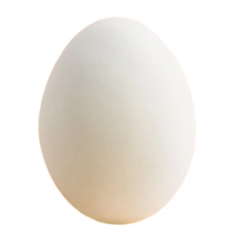 egg