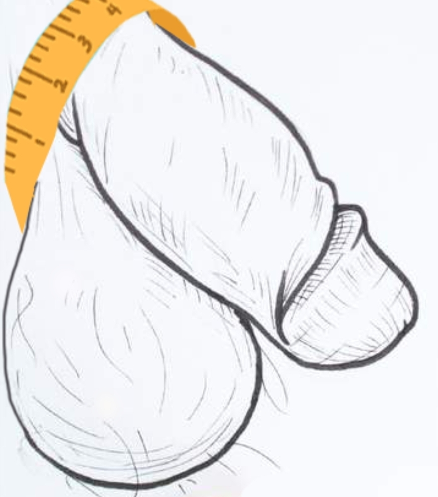 Snug Girth Measurement