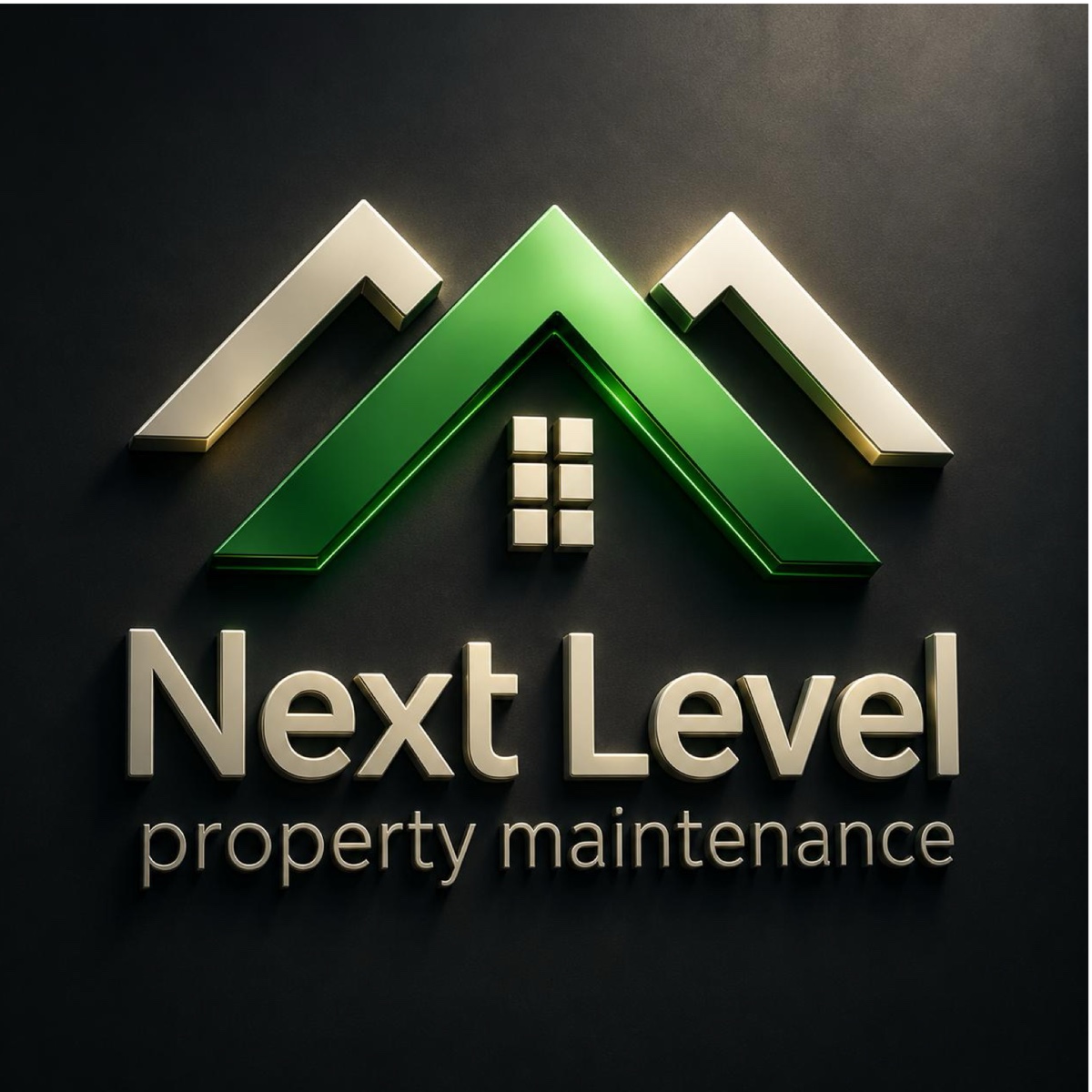 Next Level Property Maintenance 3D logo