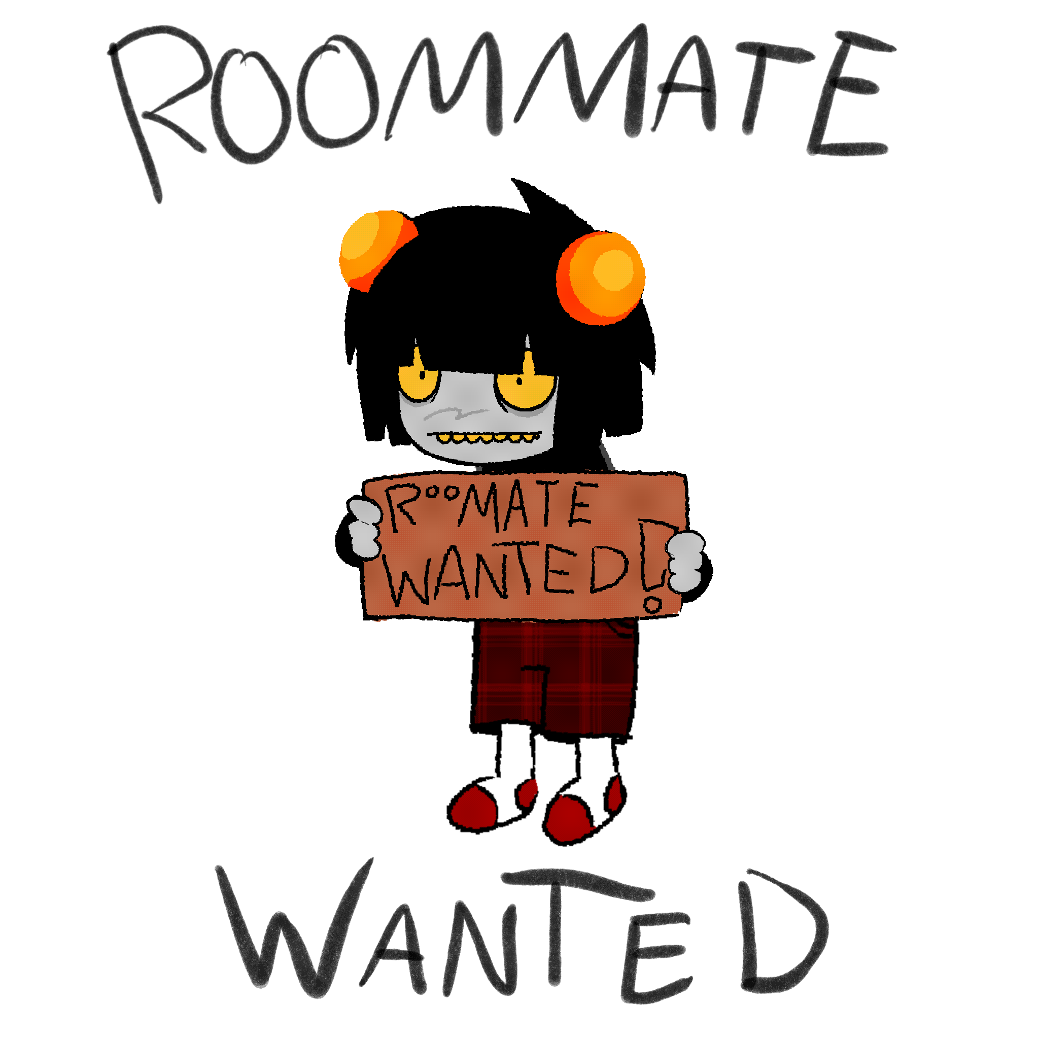 Roommate wanted