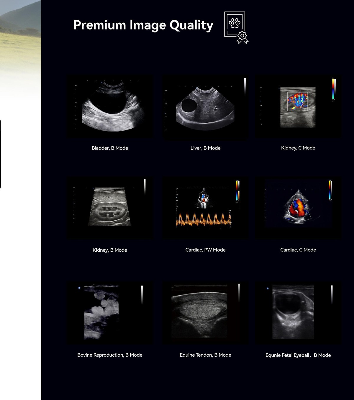 CHISON SonoPort 8 VET - Veterinary ultrasound scan gallery