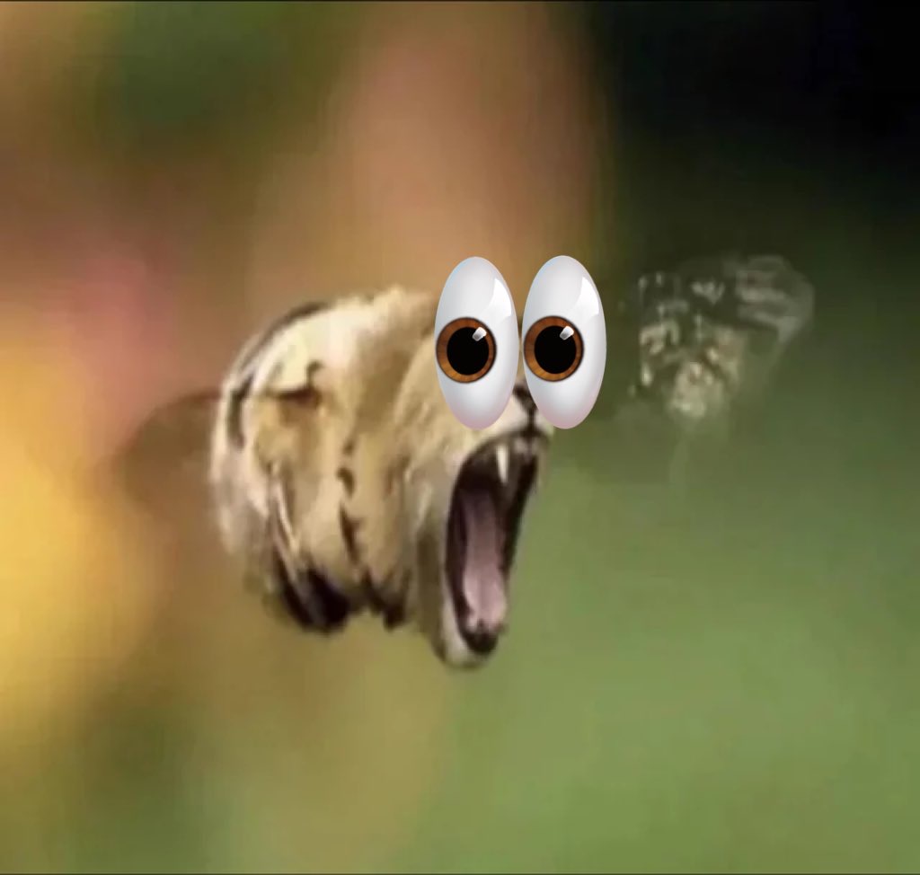 h9152k.jpeg