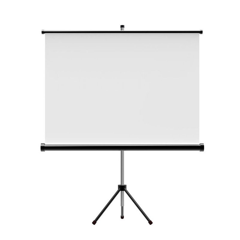 Màn chiếu Chân Dalite P70TS 100 Inch