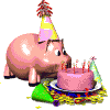 pig sniffing cake