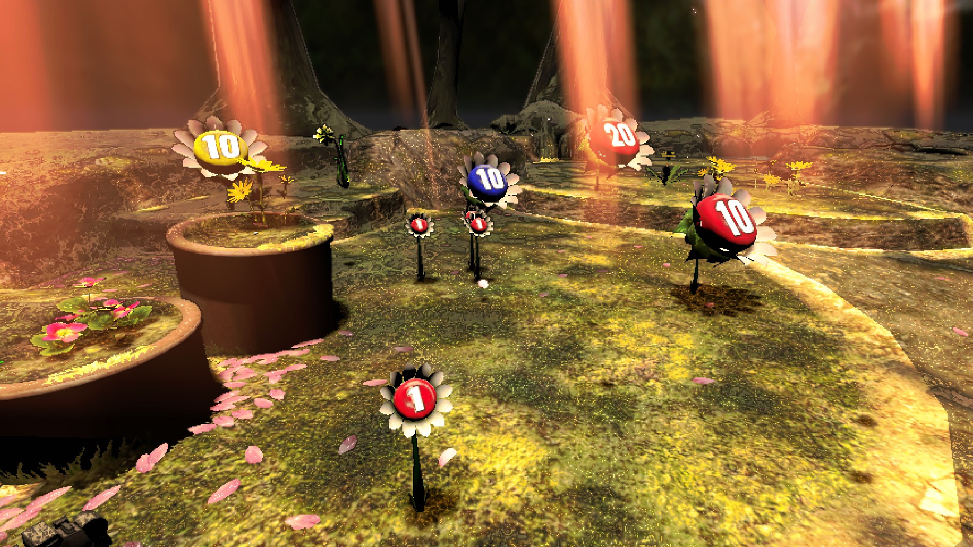 Pellet Posies near the landing site.