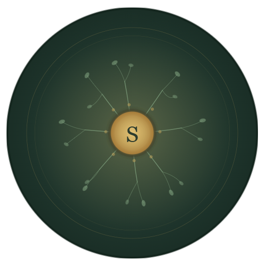 Sidhi | Nostr Connector profile picture
