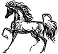 hgp89r.gif