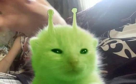https://files.catbox.moe/hh3dru.jpg