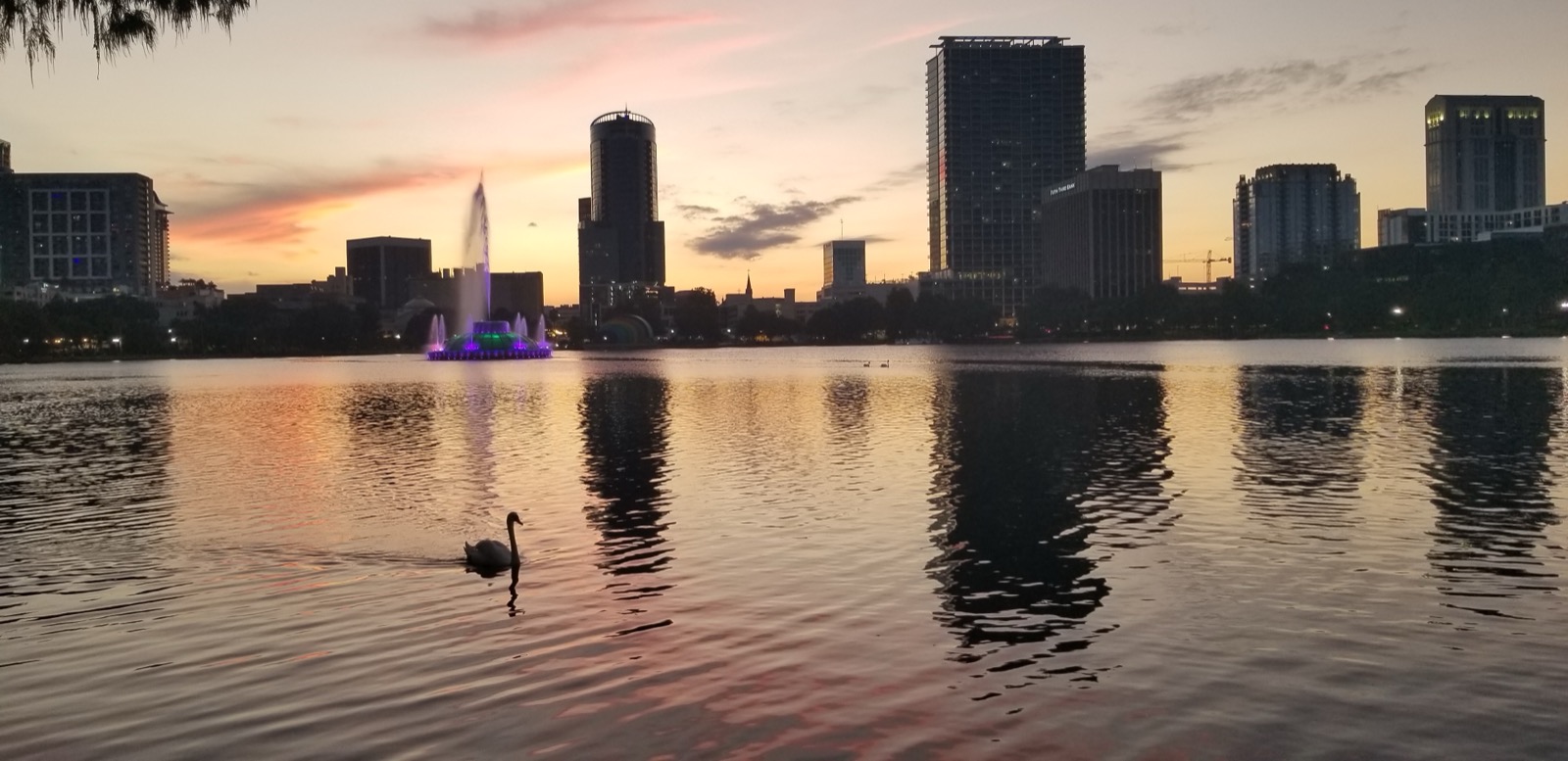 Local landmark in Orlando, Florida