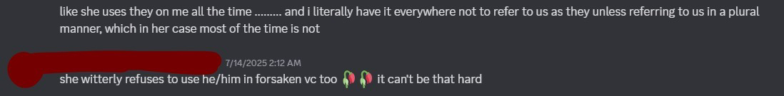 me explaining that she uses almost exclusively they/them for me, only choosing to use my proper pronouns when other people would use them, despite my uncomfortability with they/them being used on me in a non-plural manner. chem also explaining at the bottom that she would often not use he/him for him despite him saying that he would like it if people used he/him more, with her responding quickly after
