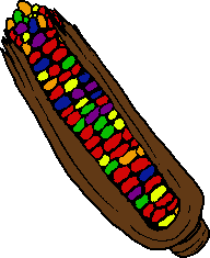 gay flag colored corn on the cob