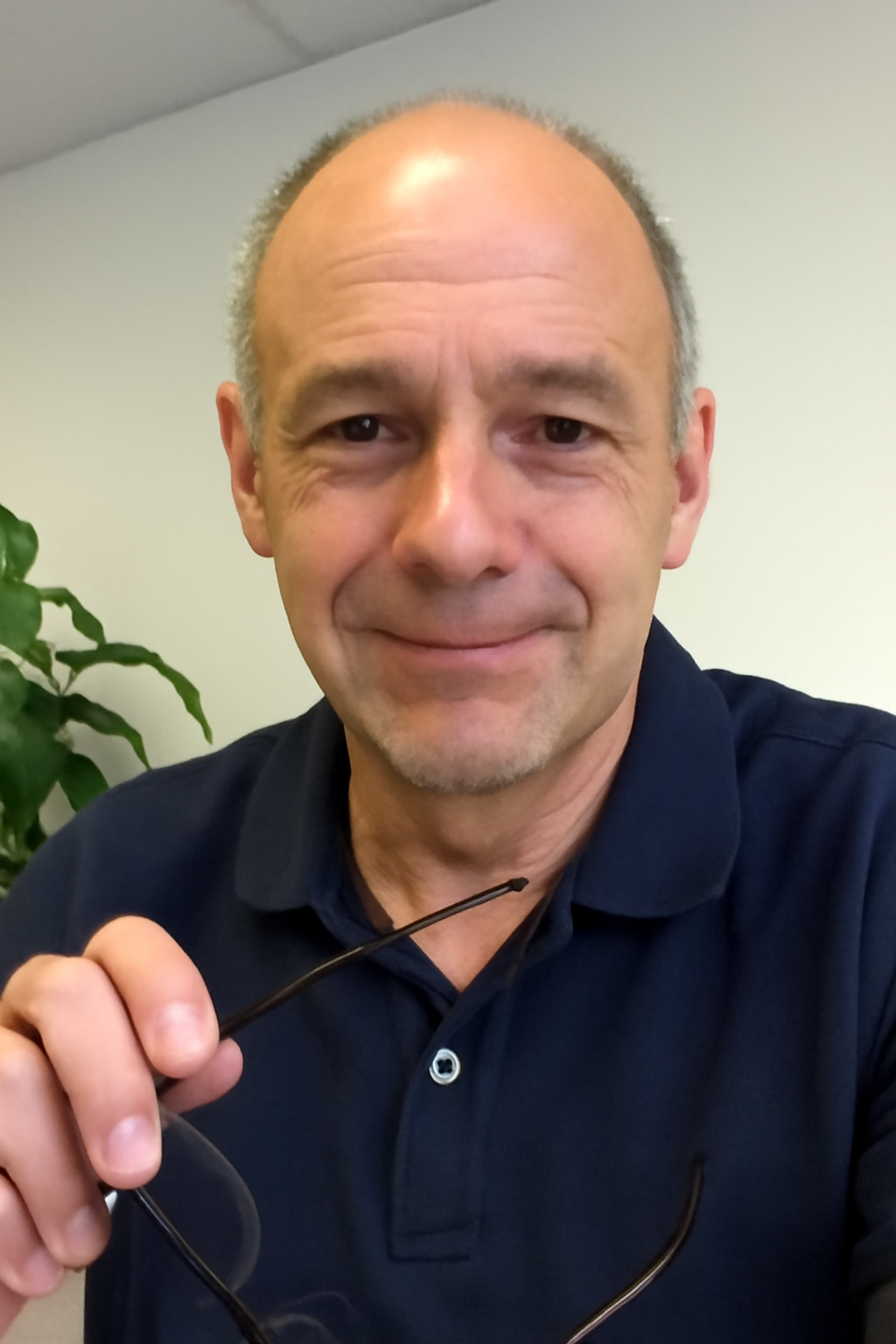 Directeur de maintenance · Surgelés