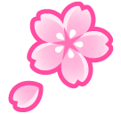 Flowers & Decorations