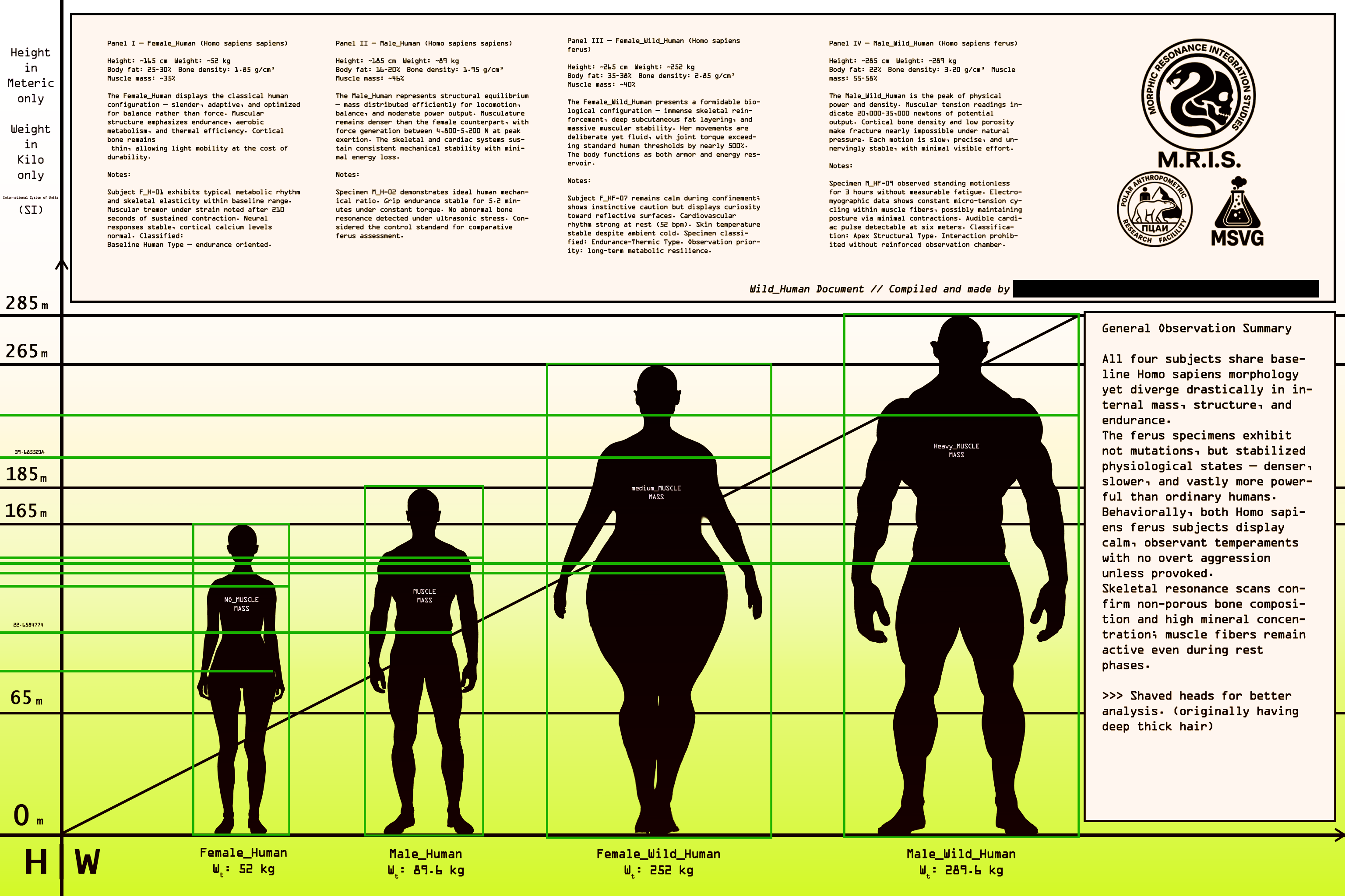 Research Image 12