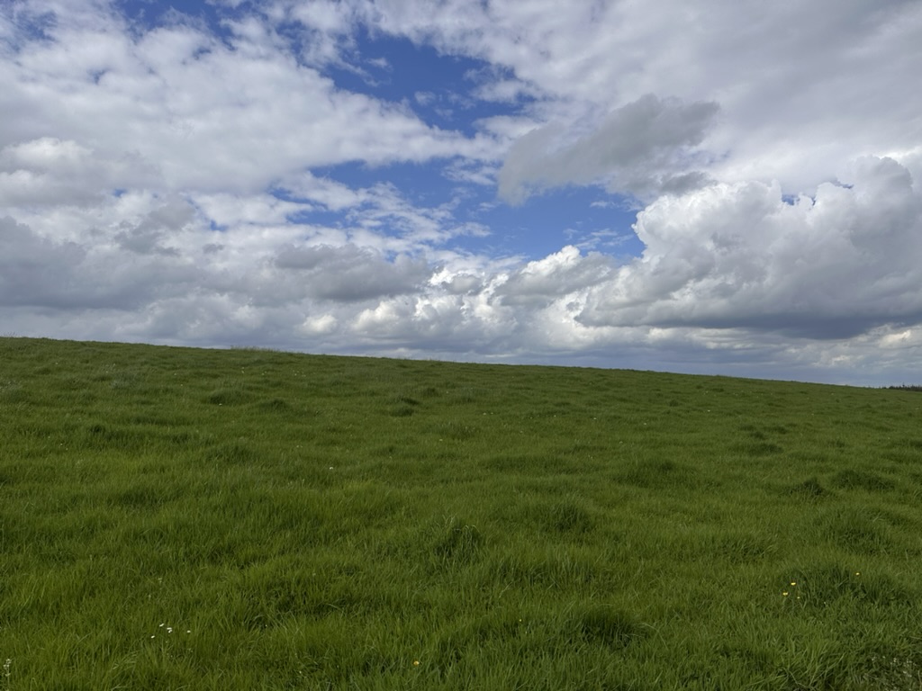 GortFarm2