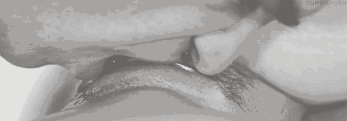 i6lb47.gif