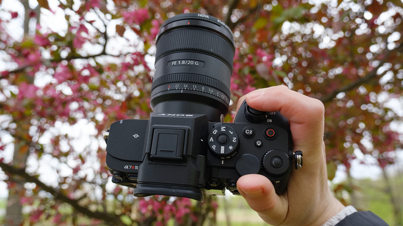Sony A7 V Dẫn Đầu Bảng Xếp Hạng Nhật Bản: Đỉnh Cao Mirrorless! - Hình 2