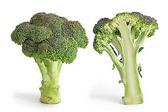 Food 5: Fresh Broccoli & Gobhi Florets (Sulforaphane Hepatic Blocker)