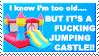 i know i'm too old, but its a fucking jumping castle