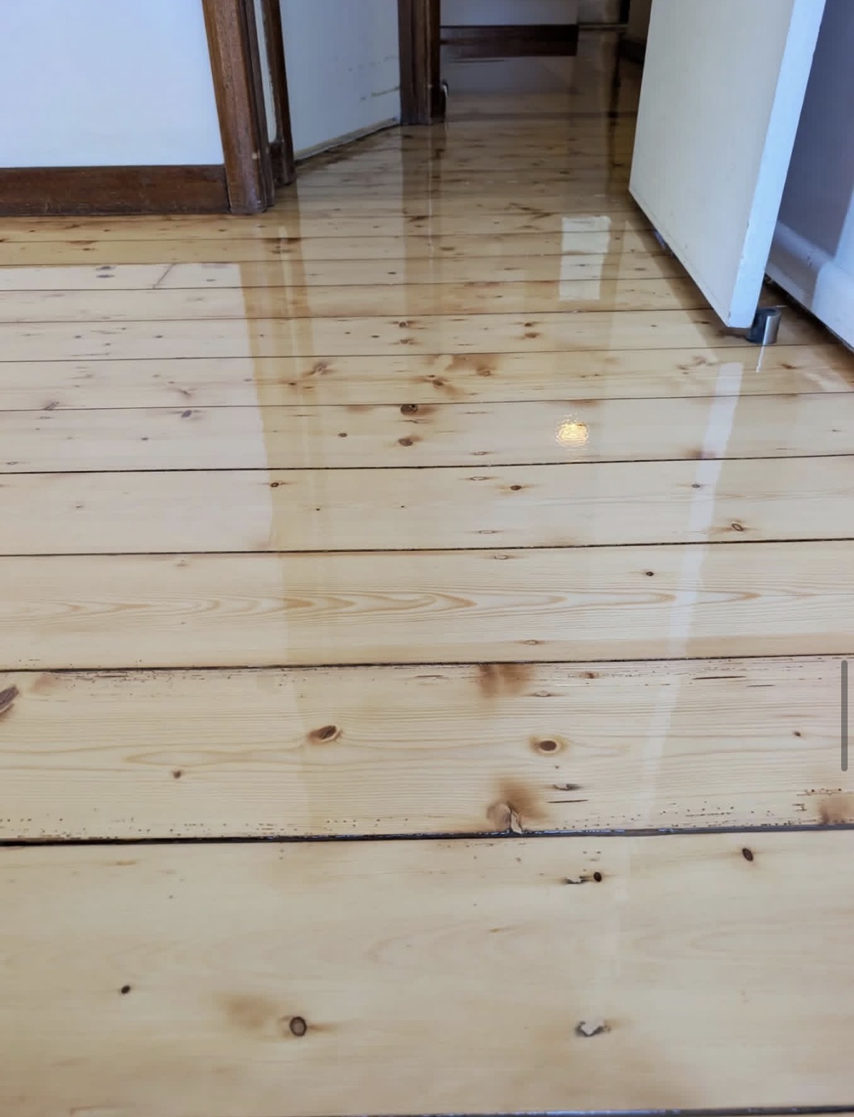 Bainbridge Pine Refinish