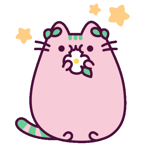pusheen-gif