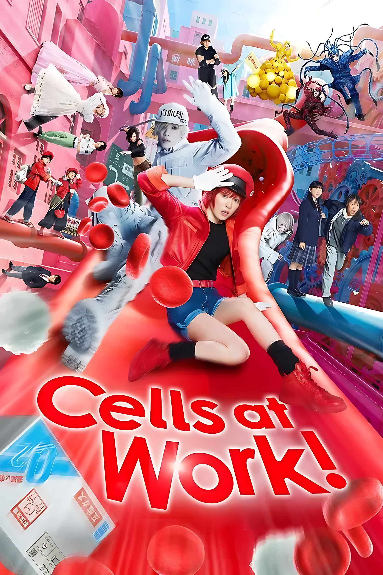 Cells At Work S01
