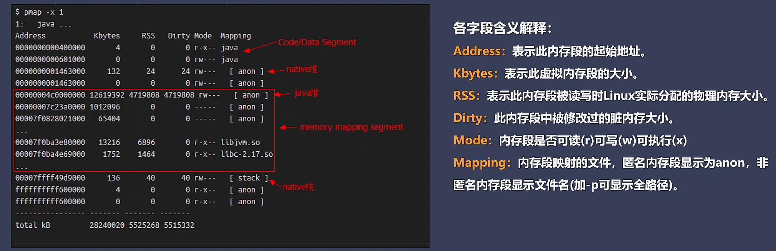 Java JVM 在 Linux 进程中的内存布局情况