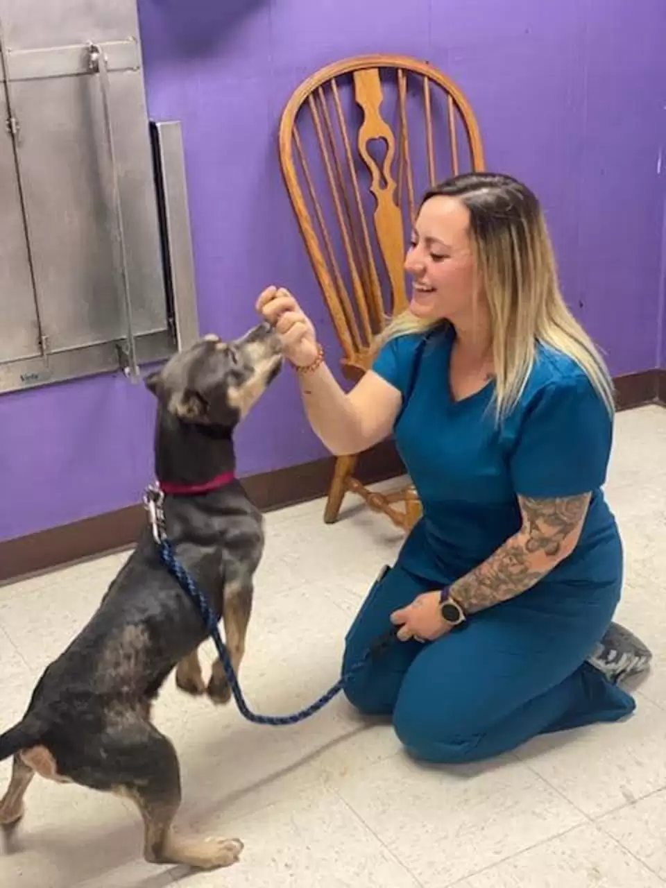 Rescued Dog