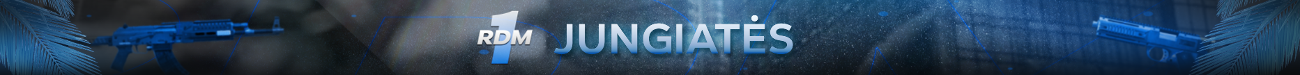 OneRDM.lt banner