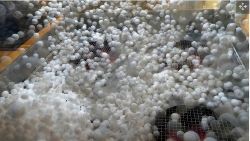 谷歌量子计算机内制造的超凡 “时间晶体 “可能永远改变物理学