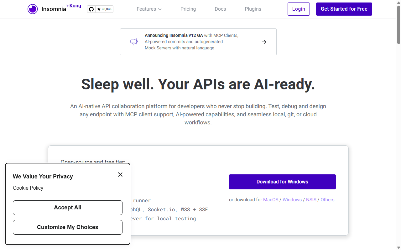 Insomnia API 개발 플랫폼 메인 화면