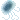 jelly