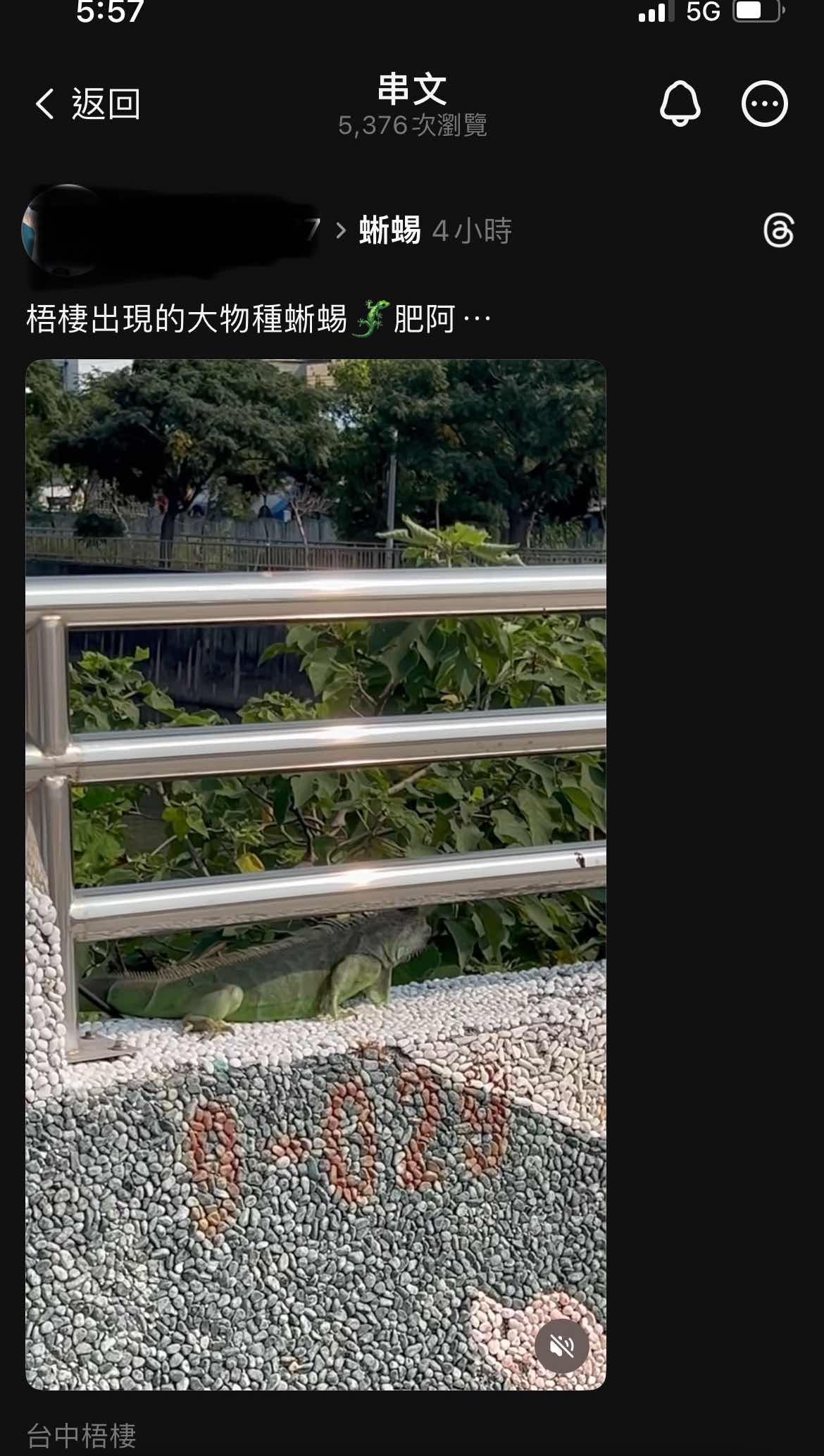 [問卦] 台中也被入侵了嗎？