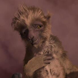 What you need is a little help from the "love monkey".