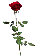 this was a cute long spinny rose gif
