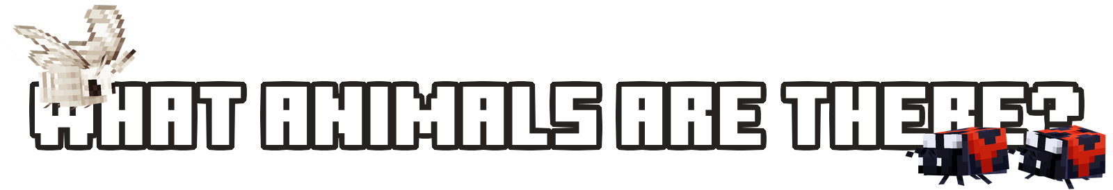 What Animals are There?