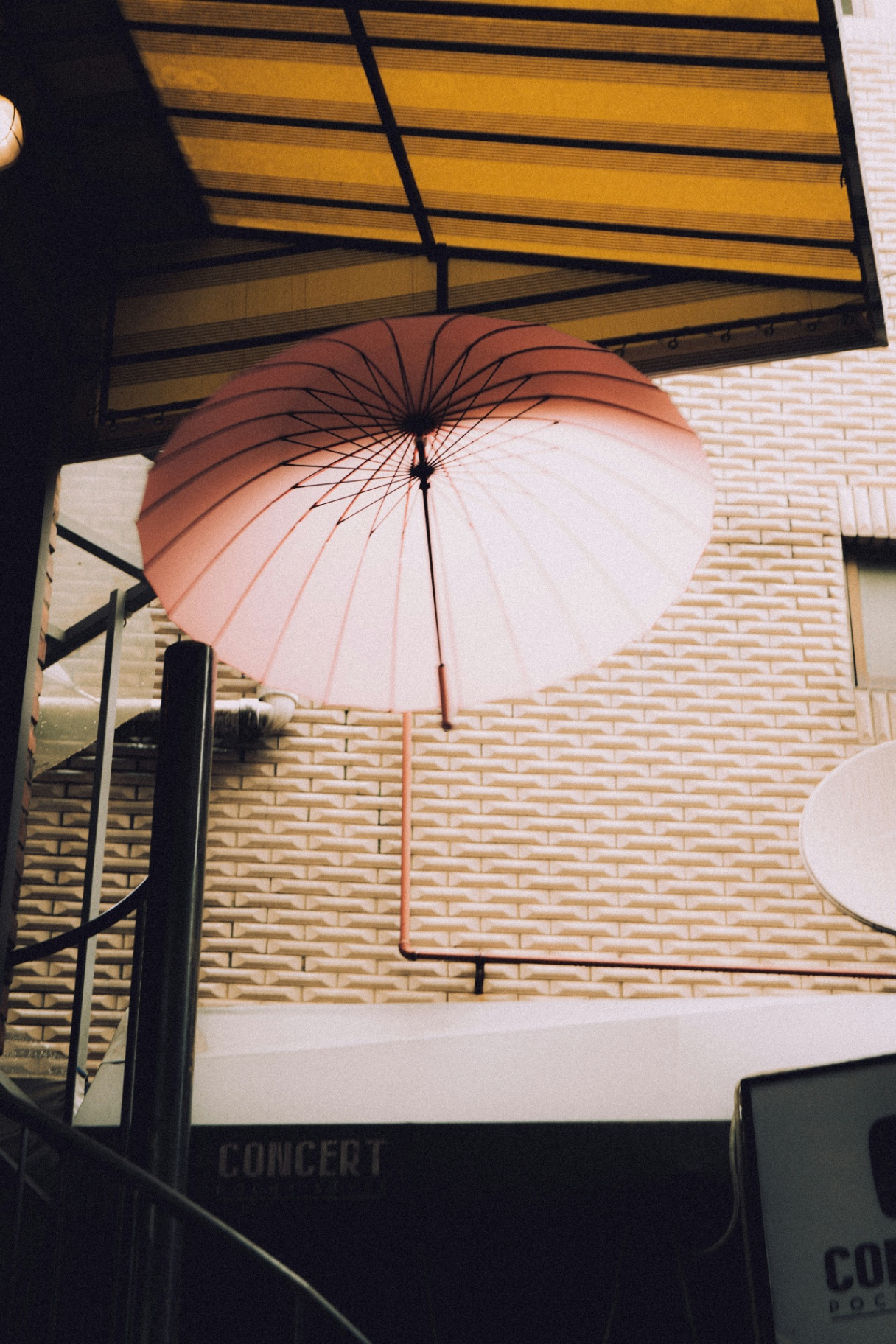 Untitled Image