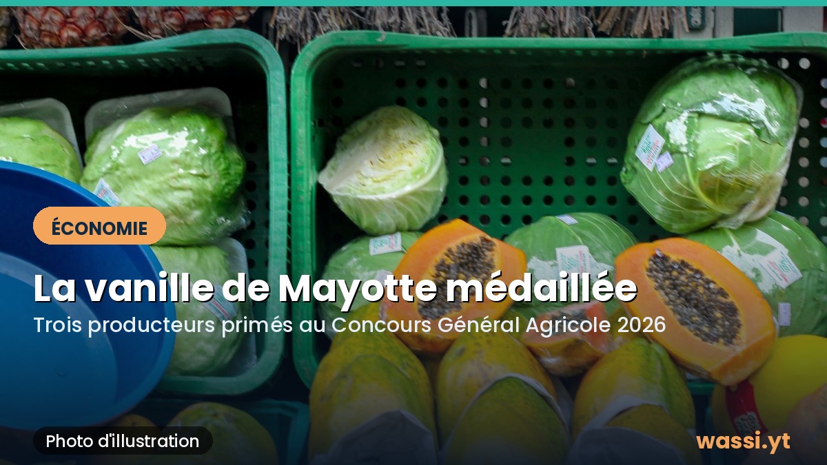 Vanille et miel de Mayotte primés : les médailles remises aux producteurs