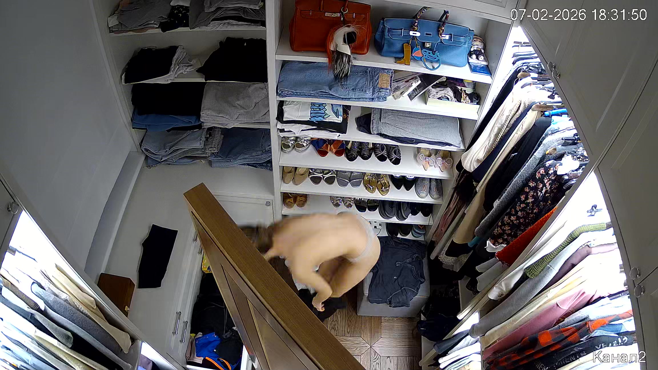 Hidden Voyeur 2 — 1_4949911665035446325 — screenshot 2