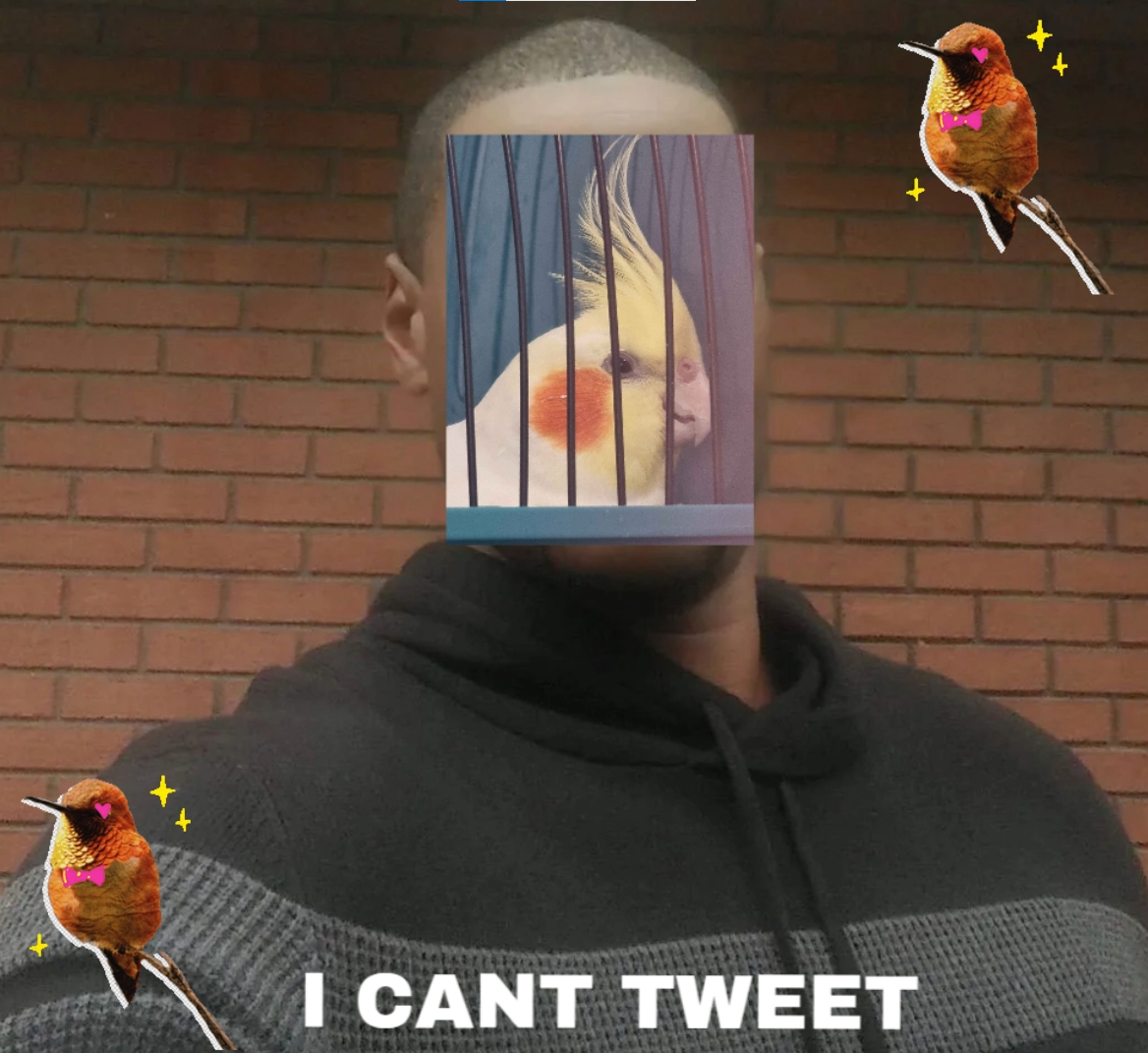 bird