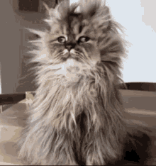 jtowe3.gif