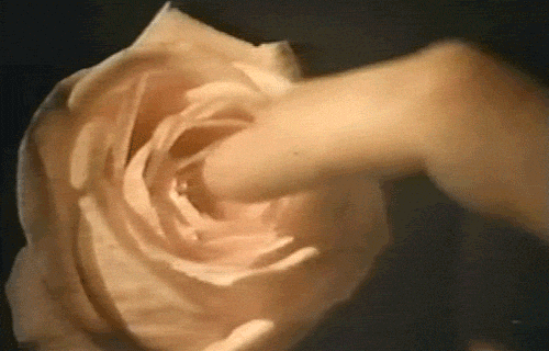 jtuqpm.gif