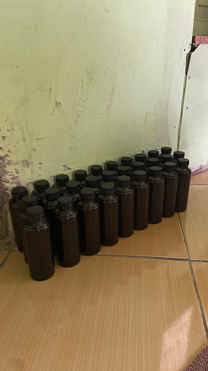 daun ketapang