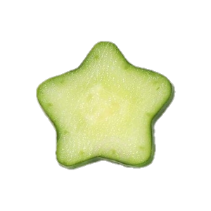 heart cucumber