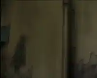 Fu
