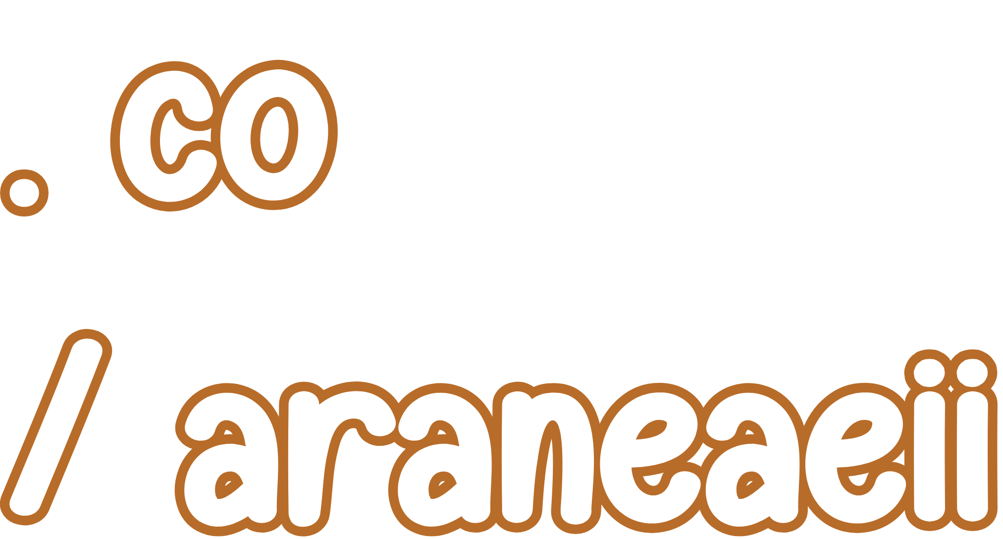 .co/araneaeii