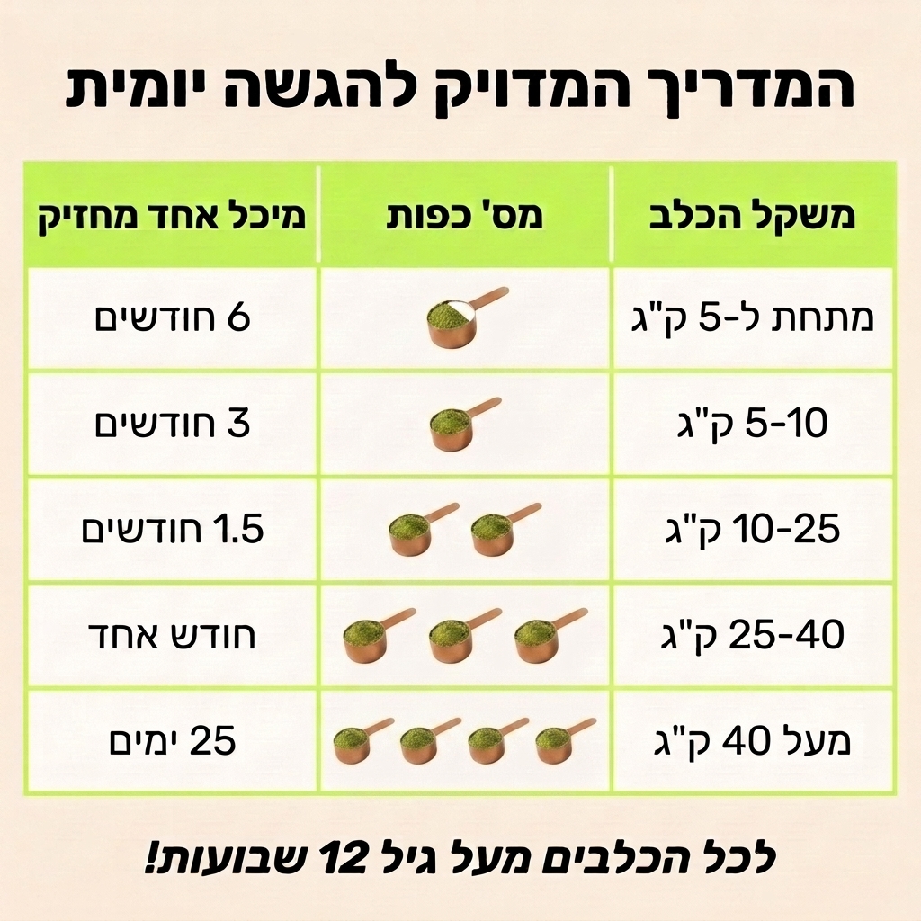 מדריך המנה היומית שלכם